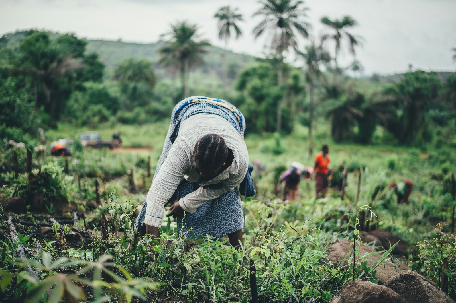 Vision for Africa's sustainable future